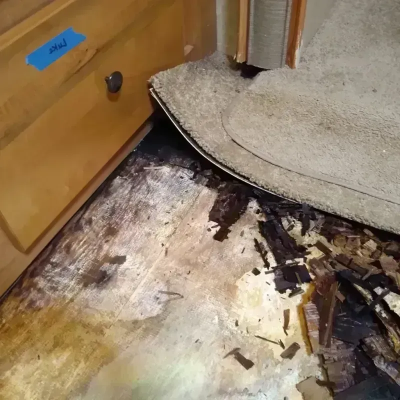 Wood Floor Water Damage in Osakis, MN